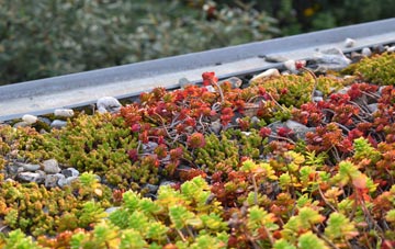 the cost of Oulton Broad green roof installation