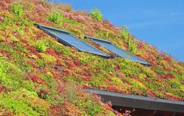 Oulton Broad living roof systems